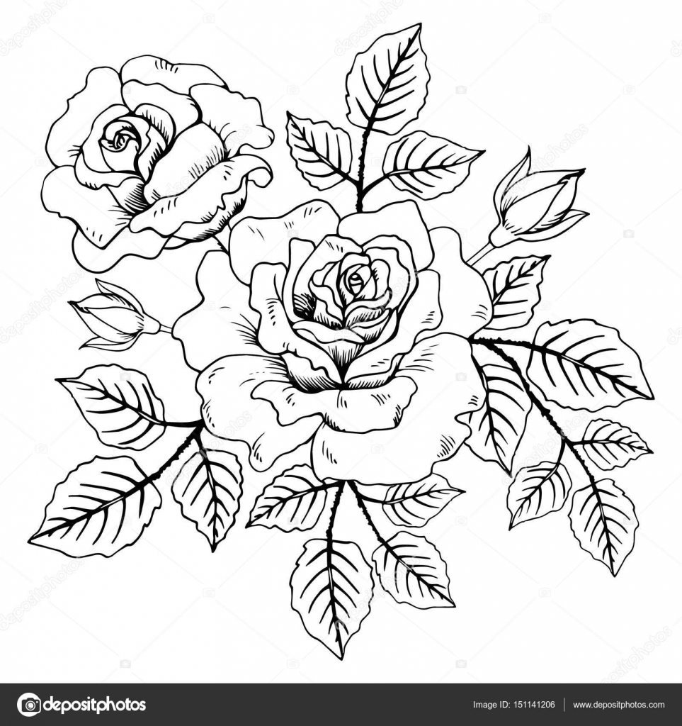 posizione floreale design biglietto di auguri e invito di matrimonio pleanno giorno di San Valentino festa della mamma e altre vacanze