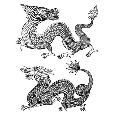 Gelenek Asya Dragon illüstrasyon. Asias dört küçük ejderha. 