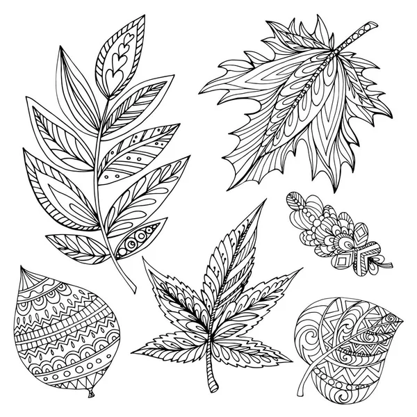 Colección de hojas decorativas de otoño de diferentes árboles (roble, tilo, arce, acacia) dibujar a mano en vector. Página para colorear — Vector de stock
