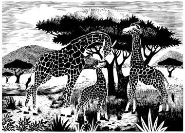 Savannah 'daki bir zürafa ailesinin vektör çizimi. Afrika 'nın doğası. Rezervler ve ulusal parklar. 
