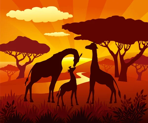 Sylwetka Trzech Żyraf Pięknych Zachodach Słońca Widok Dziką Przyrodę Zwierzęta Wektor Stockowy