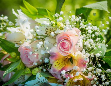 Taze güllerin savaşında iki nişan yüzüğü