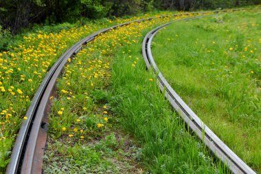 Eski paslı raylar. Tramvay parça, çim ve karahindiba ile büyümüş