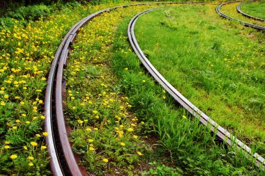 Eski paslı raylar. Tramvay parça, çim ve karahindiba ile büyümüş