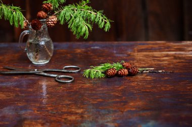 Larch koniler, sürahi ve ahşap arka plan için eski makaslar dallarında.