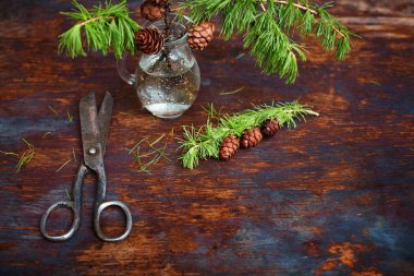 Larch koniler, sürahi ve ahşap arka plan için eski makaslar dallarında.