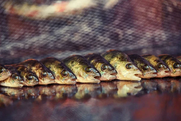 Fresh fish on wooden background. Rod fishing. Perch — Stock Photo, Image