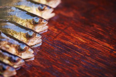 Ahşap arka plan üzerinde taze balık. Çubuk balıkçılık. Levrek