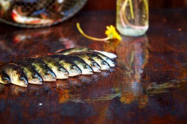 Ahşap arka plan üzerinde taze balık. Çubuk balıkçılık. Levrek