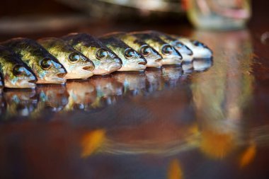 Ahşap arka plan üzerinde taze balık. Çubuk balıkçılık. Levrek