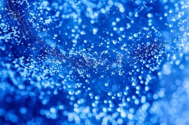 Soyut mavi bokeh doku arka plan. Örümcek ağı üzerinde damla