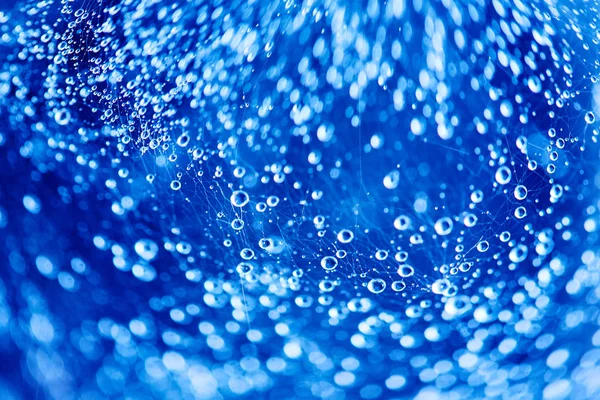Soyut mavi bokeh doku arka plan. Örümcek ağı üzerinde damla