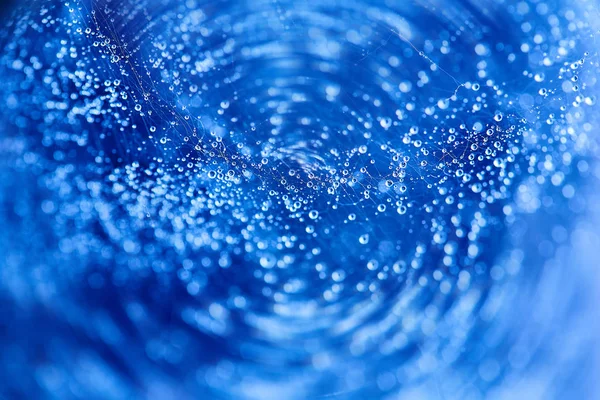 Soyut mavi bokeh doku arka plan. Örümcek ağı üzerinde damla