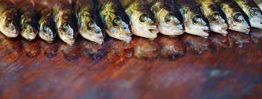 Ahşap arka plan üzerinde taze balık. Çubuk balıkçılık. Levrek