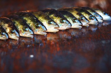 Ahşap arka plan üzerinde taze balık. Çubuk balıkçılık. Levrek