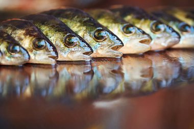 Ahşap arka plan üzerinde taze balık. Çubuk balıkçılık. Levrek