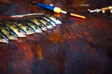 Ahşap arka plan üzerinde taze balık. Çubuk balıkçılık. Levrek