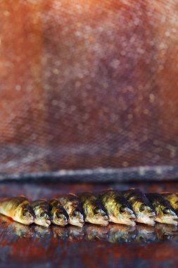 Ahşap arka plan üzerinde taze balık. Çubuk balıkçılık. Levrek