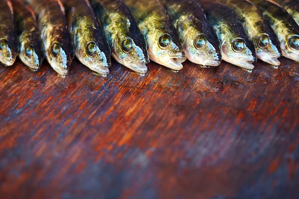 Ahşap arka plan üzerinde taze balık. Çubuk balıkçılık. Levrek
