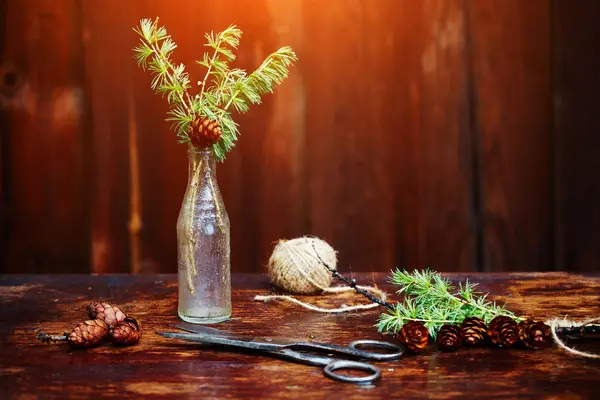 Noel ahşap arka plan. Çam dalları ve koniler vintage bir şişe, eski makas ve kurnaz kordon. Eğitim kavramı Noel için ayarlar. 