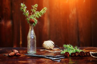 Noel ahşap arka plan. Çam dalları ve koniler vintage bir şişe, eski makas ve kurnaz kordon. Eğitim kavramı Noel için ayarlar. 