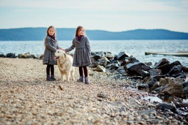 İki küçük ikiz kardeşler bir yürüyüş ile köpek sahilde.