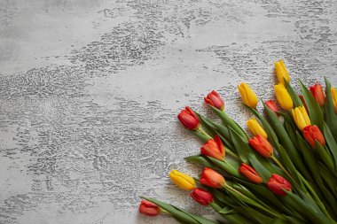 Beyaz desenli arka planda güzel laleler, üst manzara, çerçeve, sınır. Metin için yeri olan her etkinlik için lale içeren kartpostal