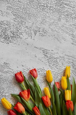 Beyaz desenli arka planda güzel laleler, üst manzara, çerçeve, sınır. Metin için yeri olan her etkinlik için lale içeren kartpostal