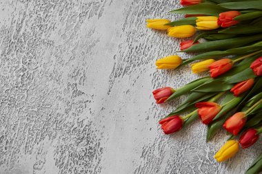 Beyaz desenli arka planda güzel laleler, üst manzara, çerçeve, sınır. Herhangi bir olay için laleli kartpostal