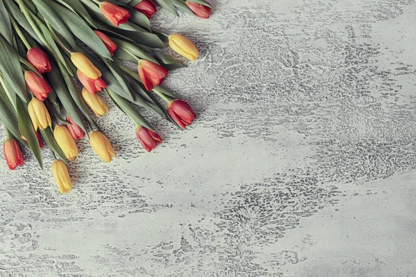 Beautiful tulips on a white textured background, top view, frame, border. Postcard with tulips for any event