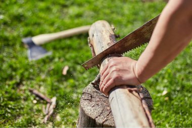 Yakacak odun için testere ile kuru kütükler kesiyorum..