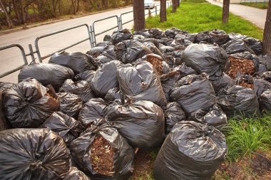 Kaldırım kenarındaki plastik torbalarda düşen sonbahar yaprakları. Şehrin sokaklarını temizliyorum. Temiz gezegen kavramı..