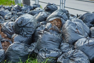 Düşen sonbahar yaprakları geri dönüşümlü plastik torbalarda toplanır. Parkta siyah plastik çöp torbaları, sonbahar temizliği...