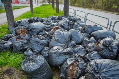 Düşen sonbahar yaprakları geri dönüşümlü plastik torbalarda toplanır. Parkta siyah plastik çöp torbaları, sonbahar temizliği...