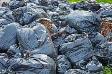 Kaldırım kenarındaki plastik torbalarda düşen sonbahar yaprakları. Şehrin sokaklarını temizliyorum. Temiz gezegen kavramı..