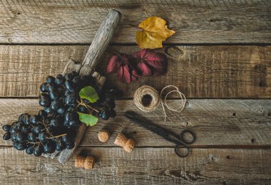 Eski ahşap arka planda yaprakları dökülen koyu mavi üzüm. Sağlıklı meyveler. Yemeye hazır bir sürü üzüm. Tonlanmış görüntü. Seçici odaklanma. Üst Manzara. Boşluğu kopyala.