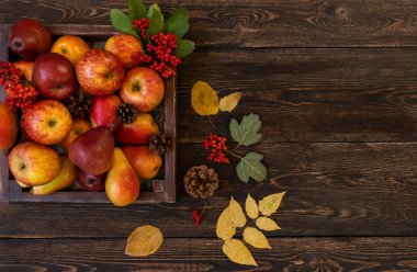 Elma, çam kozalağı, baharat, çilek ve metin için kopya alanı ile düşmüş yaprakları ile Sonbahar gıda arka plan. Sonbahar yiyecek arka planı. Seçici odaklama.