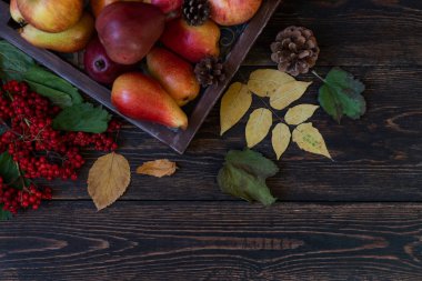 Elma, çam kozalağı, baharat, çilek ve metin için kopya alanı ile düşmüş yaprakları ile Sonbahar gıda arka plan. Sonbahar yiyecek arka planı. Seçici odaklama.