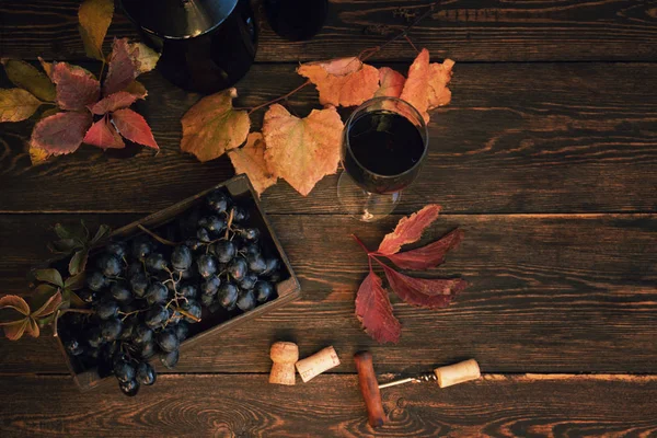 Donker Blauwe Wijndruiven Druiven Voor Het Maken Van Wijn Gedetailleerd — Stockfoto