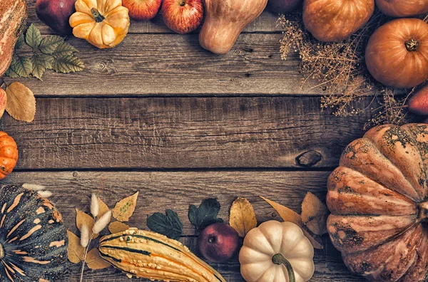 Frame Fall Hälsosam Vegetarianer Mat Matlagning Bakgrund Ingredienser För Thanksgiving — Stockfoto