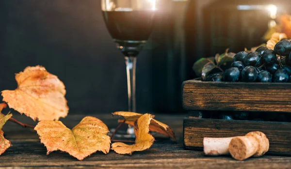 素朴なセラーやワインバーでワインの試飲体験 背景に赤ワイングラスと優れたワインのコレクション トーン画像 選択的焦点 — ストック写真