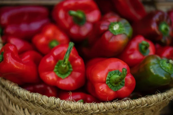 Friss Bio Zöldségek Termelői Piacon Életmód Egészséges Ételek Növényi Ételek — Stock Fotó