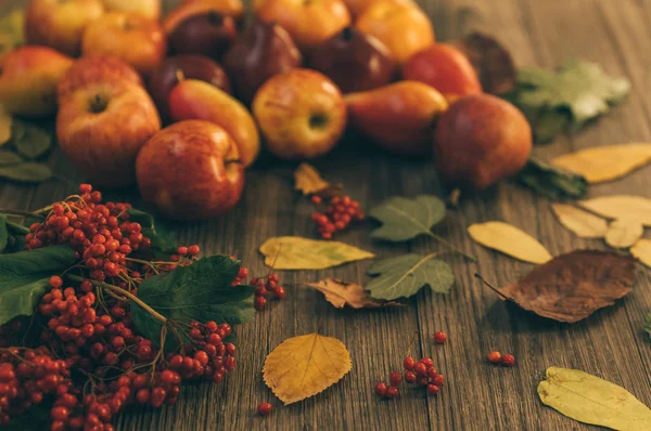 Сбор Красных Яблок Осенних Листьев Красных Ягод Старых Досках Осенний — стоковое фото