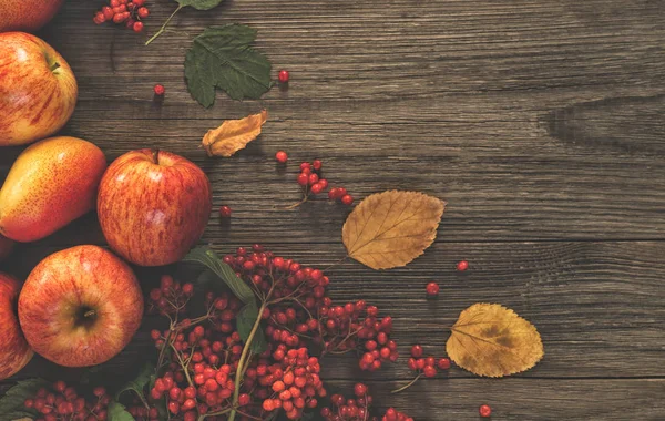 Autumn food border background with apples, pine cones, spices, berries and fallen leaves with copy space for text. Top view autumn food backdrop.