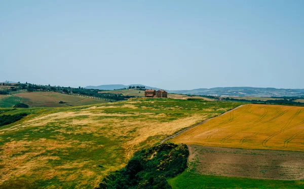 Weizenfeld Goldener Weizen Wunderschöne Naturlandschaft Toskana Italien Europa Ländliche Landschaft — Stockfoto