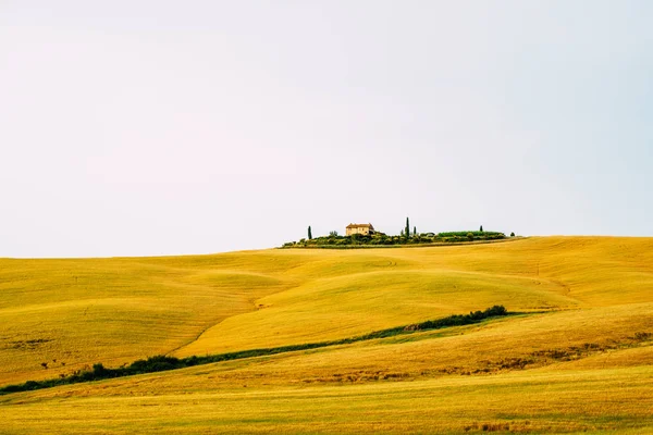 Vista Hermosa Toscana Montañosa Campo Oro Día Nublado Con Casa — Foto de Stock