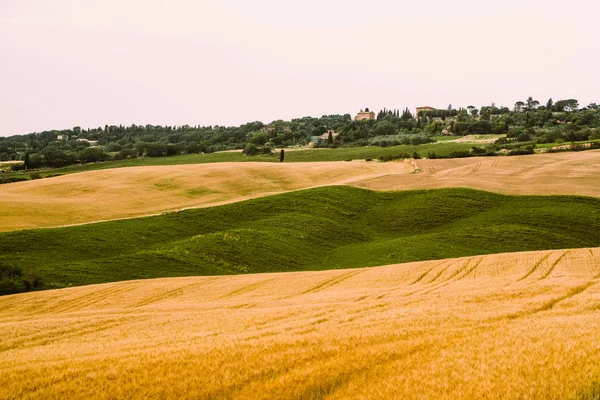 イタリア トスカーナの美しい秋 田舎の風景 田舎の丘や草原 緑と黄色の野原と空 エコツーリズムと旅行のコンセプト 美しい世界だトーン画像 — ストック写真
