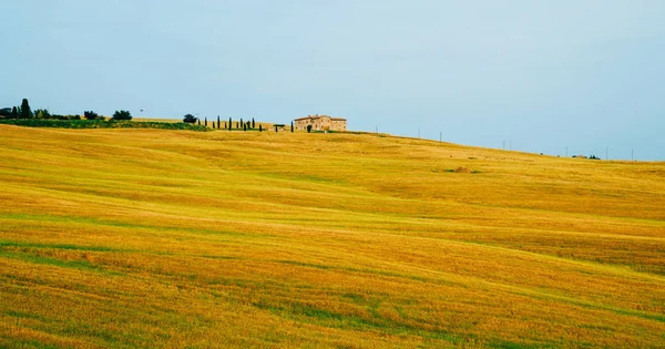 Uitzicht Het Prachtige Heuvelachtige Toscane Gouden Veld Het Bewolkte Daglicht — Stockfoto