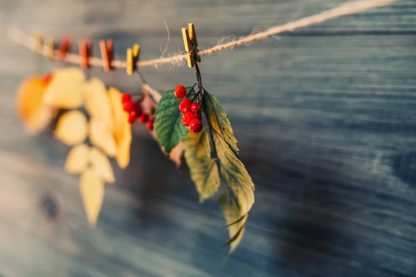 Autumn frame for your idea and text. Autumn dry twigs of shrubs with leaves of yellow, red, orange on an old wooden board. Model of autumn. Toned vintage image. Selective focus.