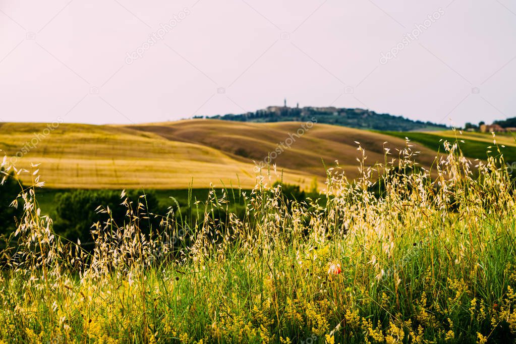 Beautiful landscape, tourist visit in in Tuscany, Italy. Tourism, travel in Italy. Beautiful destination Europe. Summer holiday outdoor vacation trip.